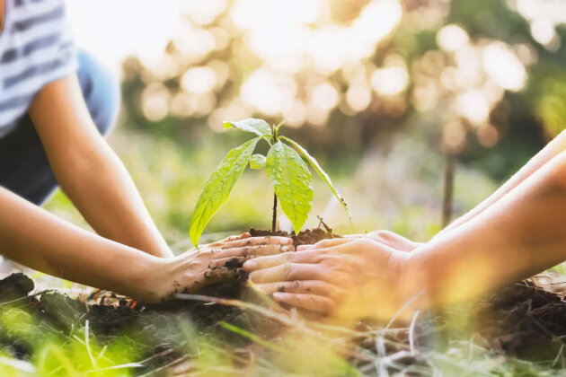 Environmental protection_sustainability_51580_2400x1600px_W1476xH0