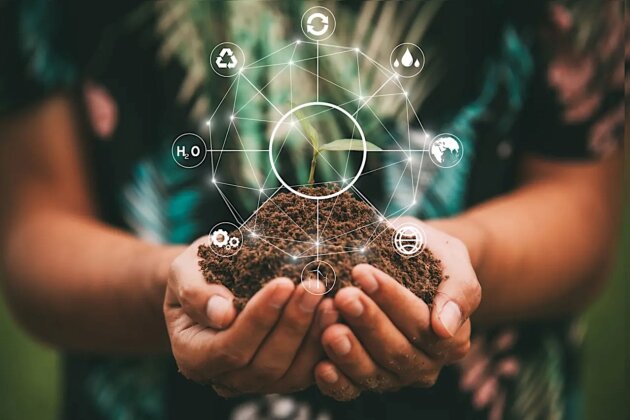hand holding tree on nature field grass Forest conservation concept,save the word concept hand holding tree on nature field grass Forest conservation concept,save the word concept